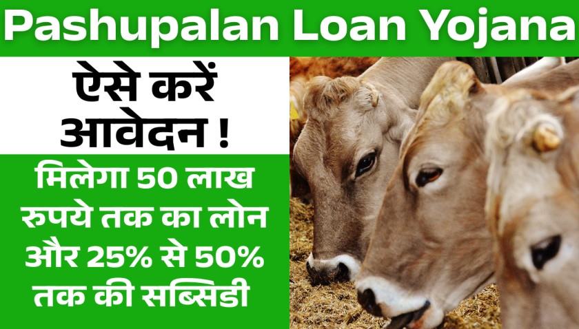 Pashupalan Loan Yojana 2025